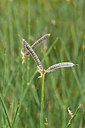 BUITEN BEELD Foto: 282809