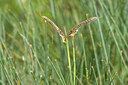 BUITEN BEELD Foto: 282811