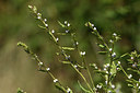 BUITEN BEELD Foto: 282815