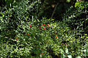 BUITEN BEELD Foto: 282831
