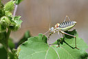 BUITEN BEELD Foto: 282838