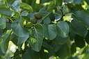 BUITEN BEELD Foto: 282840
