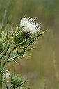 BUITEN BEELD Foto: 282858