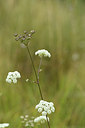 BUITEN BEELD Foto: 282861