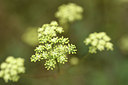 BUITEN BEELD Foto: 282866