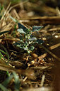 BUITEN BEELD Foto: 282884