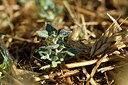 BUITEN BEELD Foto: 282887