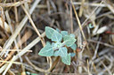 BUITEN BEELD Foto: 282892