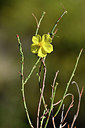 BUITEN BEELD Foto: 282895