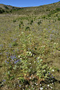 BUITEN BEELD Foto: 282902