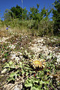 BUITEN BEELD Foto: 282904
