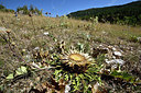 BUITEN BEELD Foto: 282908