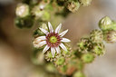 BUITEN BEELD Foto: 282912