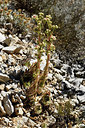 BUITEN BEELD Foto: 282913