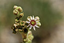 BUITEN BEELD Foto: 282914