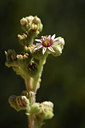 BUITEN BEELD Foto: 282916