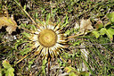 BUITEN BEELD Foto: 282926
