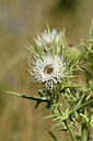 BUITEN BEELD Foto: 282935