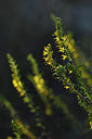 BUITEN BEELD Foto: 282946