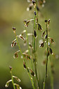 BUITEN BEELD Foto: 282950