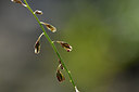 BUITEN BEELD Foto: 282952