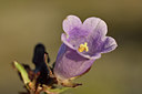 BUITEN BEELD Foto: 282966