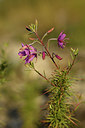 BUITEN BEELD Foto: 282969