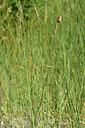 BUITEN BEELD Foto: 282981
