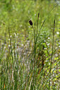 BUITEN BEELD Foto: 282982