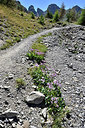 BUITEN BEELD Foto: 282990