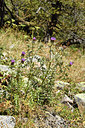 BUITEN BEELD Foto: 283004