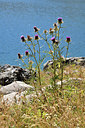 BUITEN BEELD Foto: 283005
