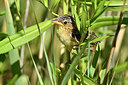 BUITEN BEELD Foto: 283019