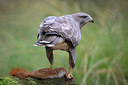 BUITEN BEELD Foto: 283041