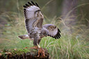 BUITEN BEELD Foto: 283045