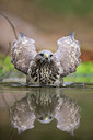 BUITEN BEELD Foto: 283048