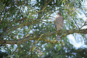 BUITEN BEELD Foto: 283067
