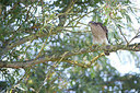 BUITEN BEELD Foto: 283068