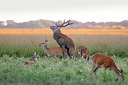 BUITEN BEELD Foto: 283086