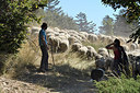 BUITEN BEELD Foto: 283102