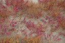 BUITEN BEELD Foto: 283143