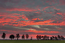 BUITEN BEELD Foto: 283171