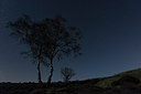 BUITEN BEELD Foto: 283173