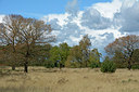BUITEN BEELD Foto: 283183