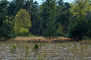 BUITEN BEELD Foto: 283184