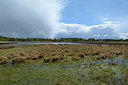 BUITEN BEELD Foto: 283215