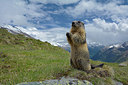 BUITEN BEELD Foto: 283221
