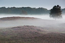 BUITEN BEELD Foto: 283233