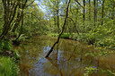 BUITEN BEELD Foto: 283237