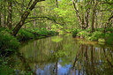 BUITEN BEELD Foto: 283240